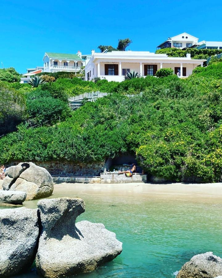 Bosky Dell On Boulders Beach Simonʼs Town Exteriör bild