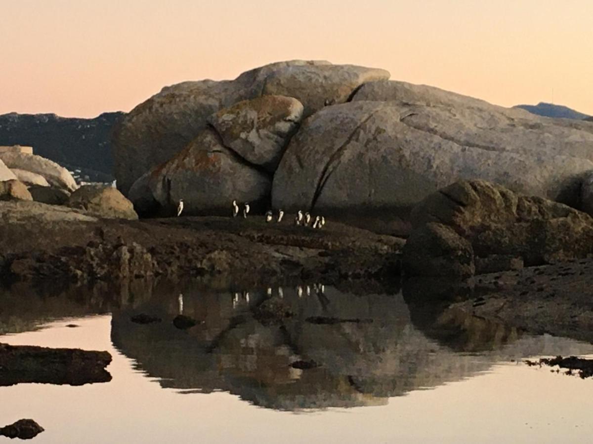 Bosky Dell On Boulders Beach Simonʼs Town Exteriör bild
