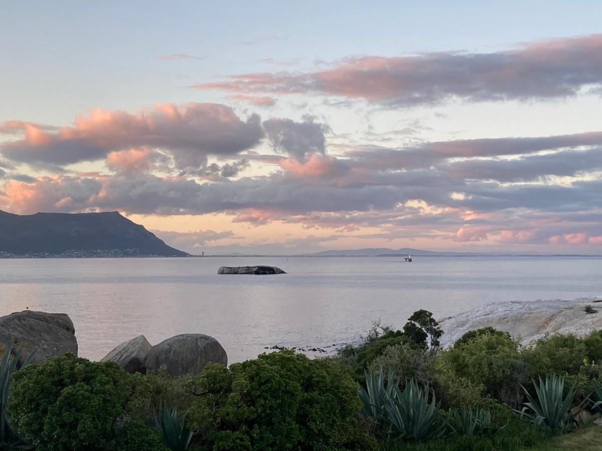 Bosky Dell On Boulders Beach Simonʼs Town Exteriör bild