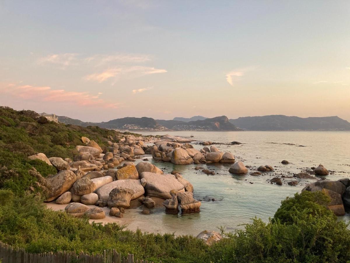 Bosky Dell On Boulders Beach Simonʼs Town Exteriör bild